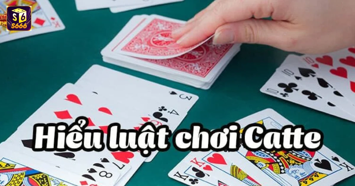 Cách Chơi Bài Catte S666 Và Những Chiến Thuật Đỉnh Cao 2 Nguyên Tắc Cơ Bản Trong Cách Chơi Bài Catte S666